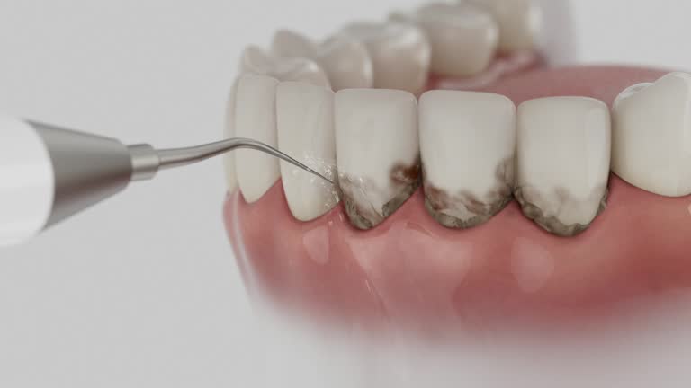 Reliable Dental contractor in Ormond-by-the-Sea, FL by Dentist Open Now